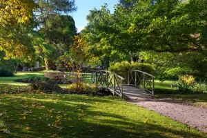 Visby botaniska trädgård