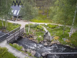 Jokkmokks fjällträdgård