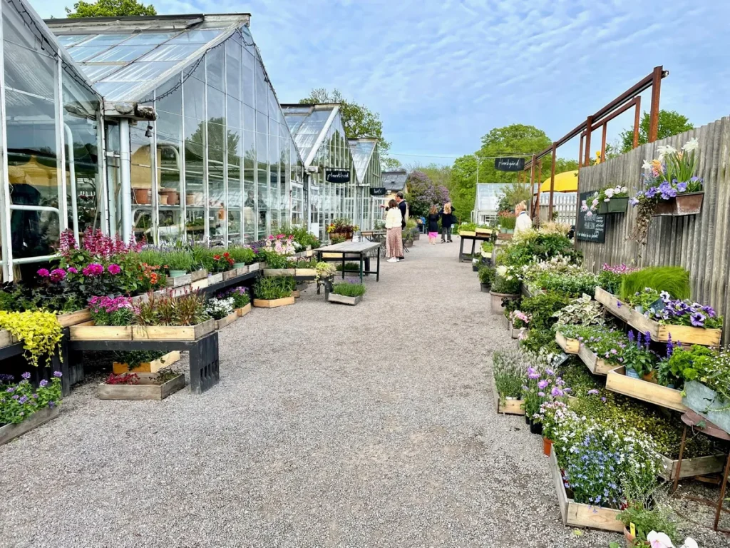 Rosendals Trädgård