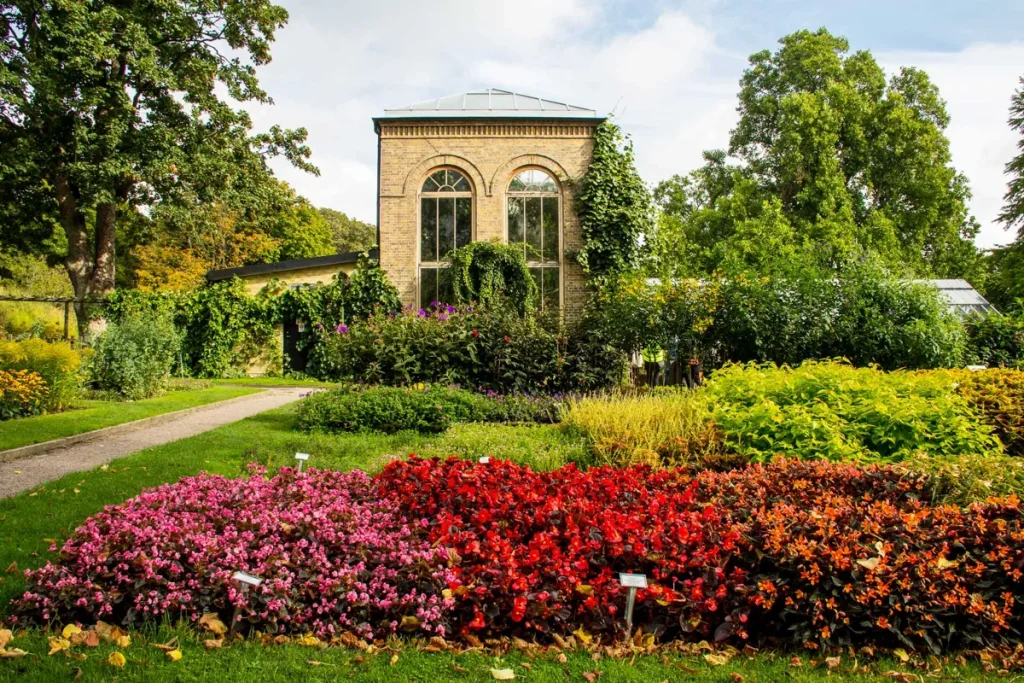 Världens äldsta botaniska trädgårdar