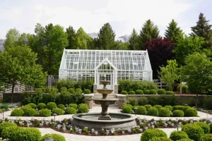 Skapa din botaniska trädgård