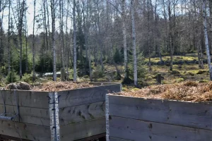 hästgödsel