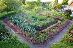potager