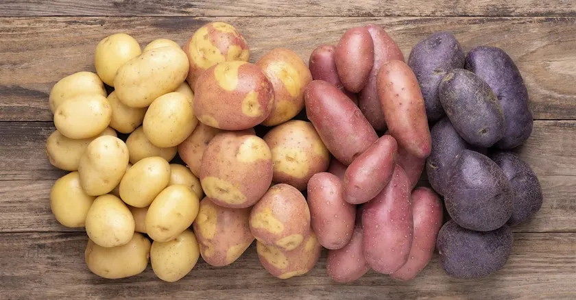 Hur mycket kokt potatis per person passar bäst?