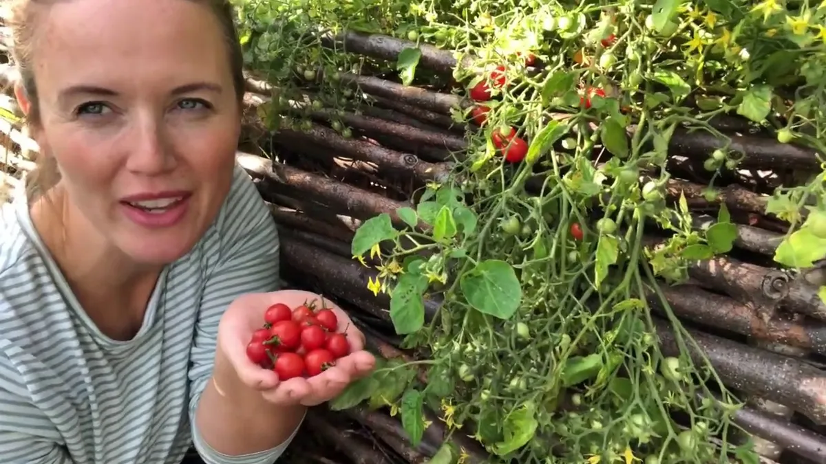 Så fungerar det att odla i ampel eller balkonglåda