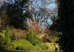 Arboretum
